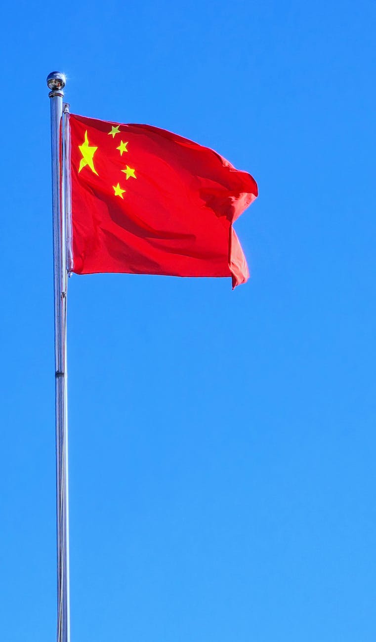 陈星宇